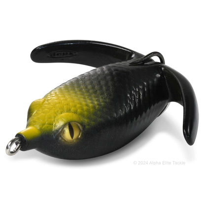 Close up of the Deps Basirisky Soft Crawler Frog in the color Fire Salamander on white background.