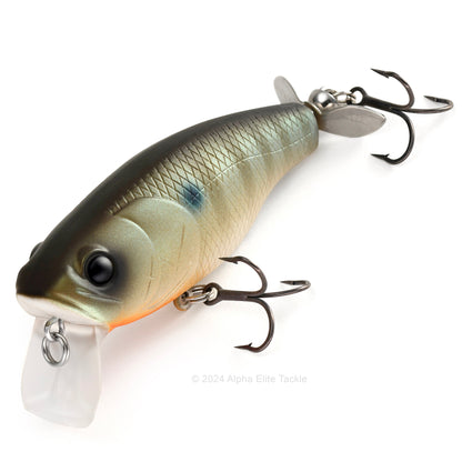 Close up of the Deps Buzzjet Wakebait Topwater fishing lure in the color MG Bluegill on a white background