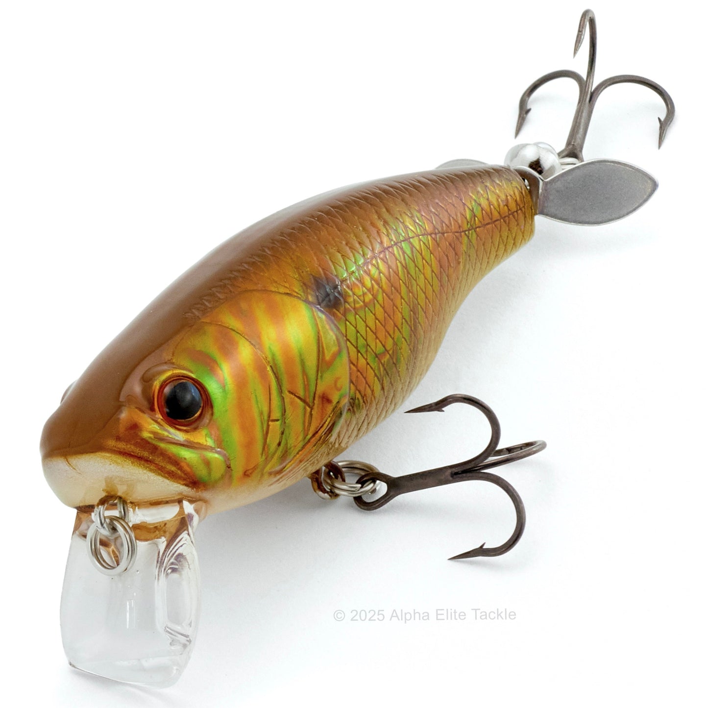 Close up of the Deps Buzzjet Wakebait Topwater fishing lure in the color Oyanirami on a white background