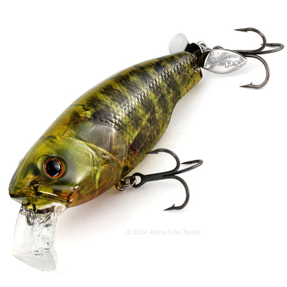 Close up of the Deps Buzzjet Wakebait Topwater fishing lure in the color REal Bluegill on a white background