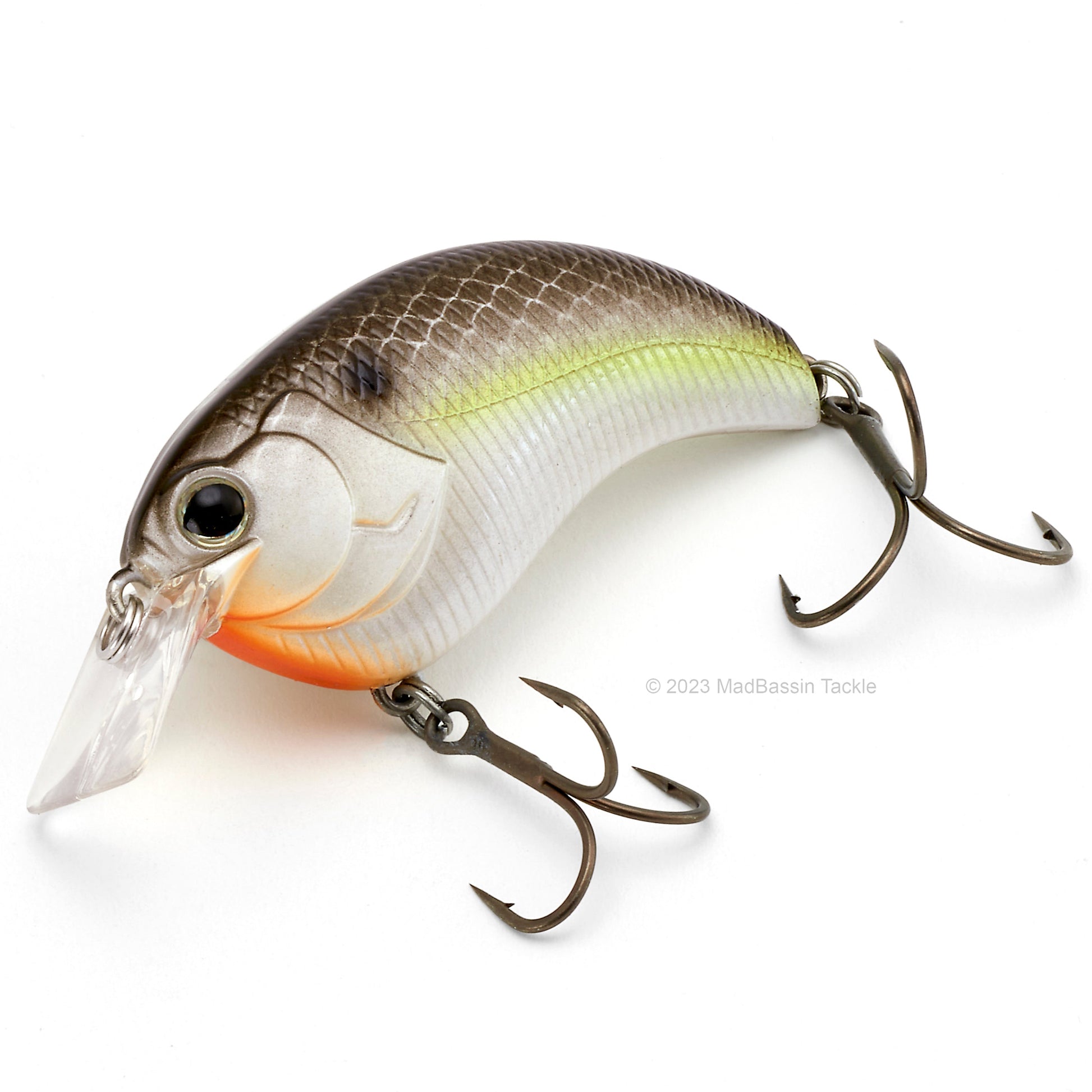 Deps Evoke 1.2 Squarebill Crankbait in the color Black Back Shad on a white background