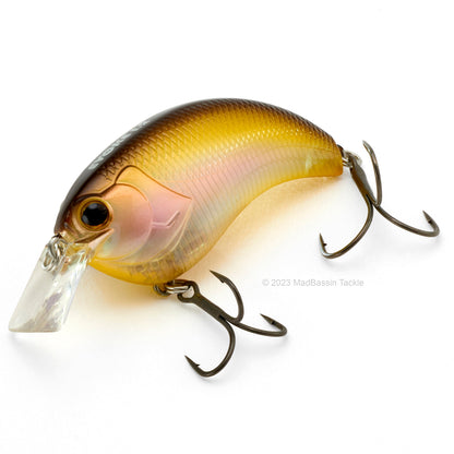 Deps Evoke 1.2 Squarebill Crankbait in the color Horizon Shad on a white background