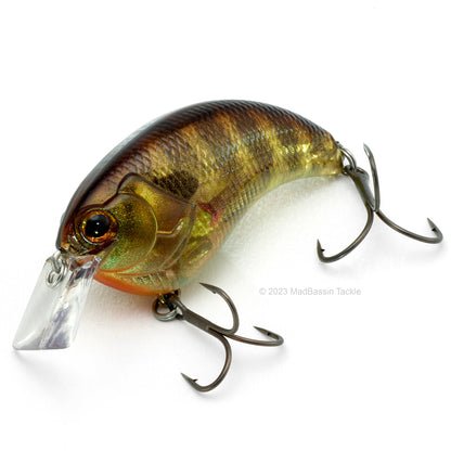 Deps Evoke 1.2 Squarebill Crankbait in the color Pond Gill on a white background