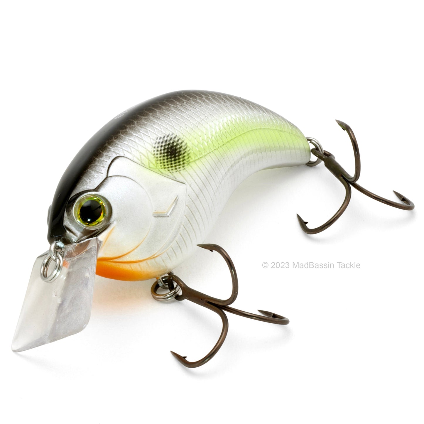 Deps Evoke 2.0 Squarebill Crankbait in the color Black Back Shad in on a white background