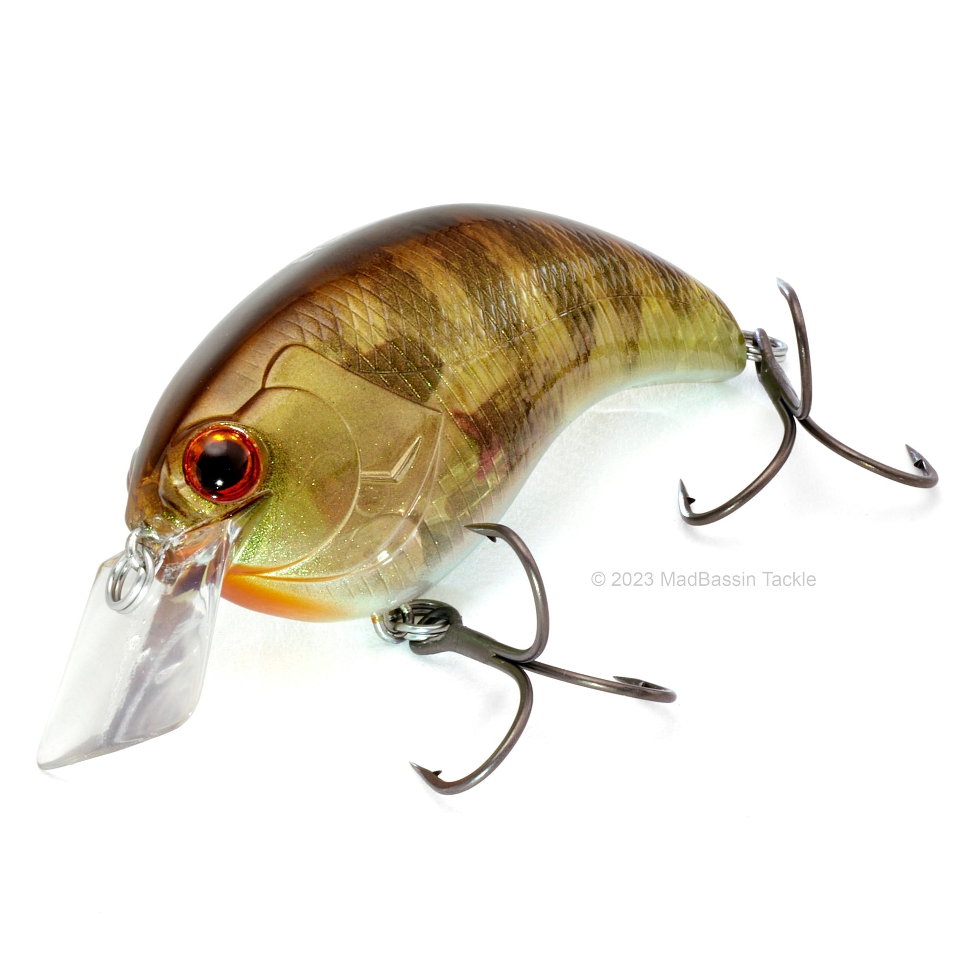 Deps Evoke 2.0 Squarebill Crankbait in the color Pond Gill in on a white background