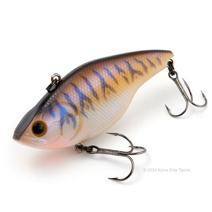 Close up of the Evergreen Buzzer Beater Tungsten Lipless Crankbait fishing lure in the color Imakatsu Tiger on a white background