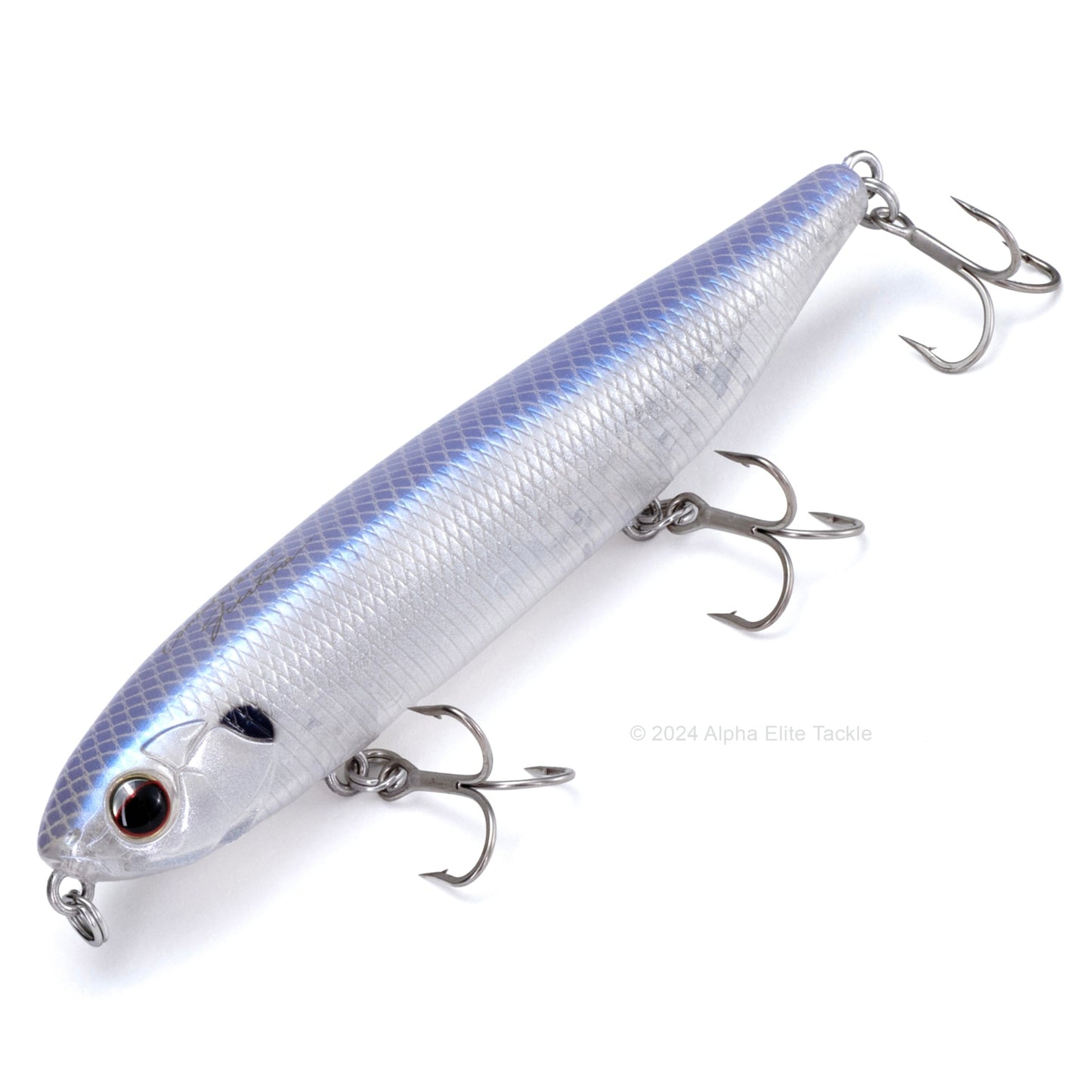 Close up of the Evergreen Justine Combat Pencil Topwater in the color Striped Shad on a white background