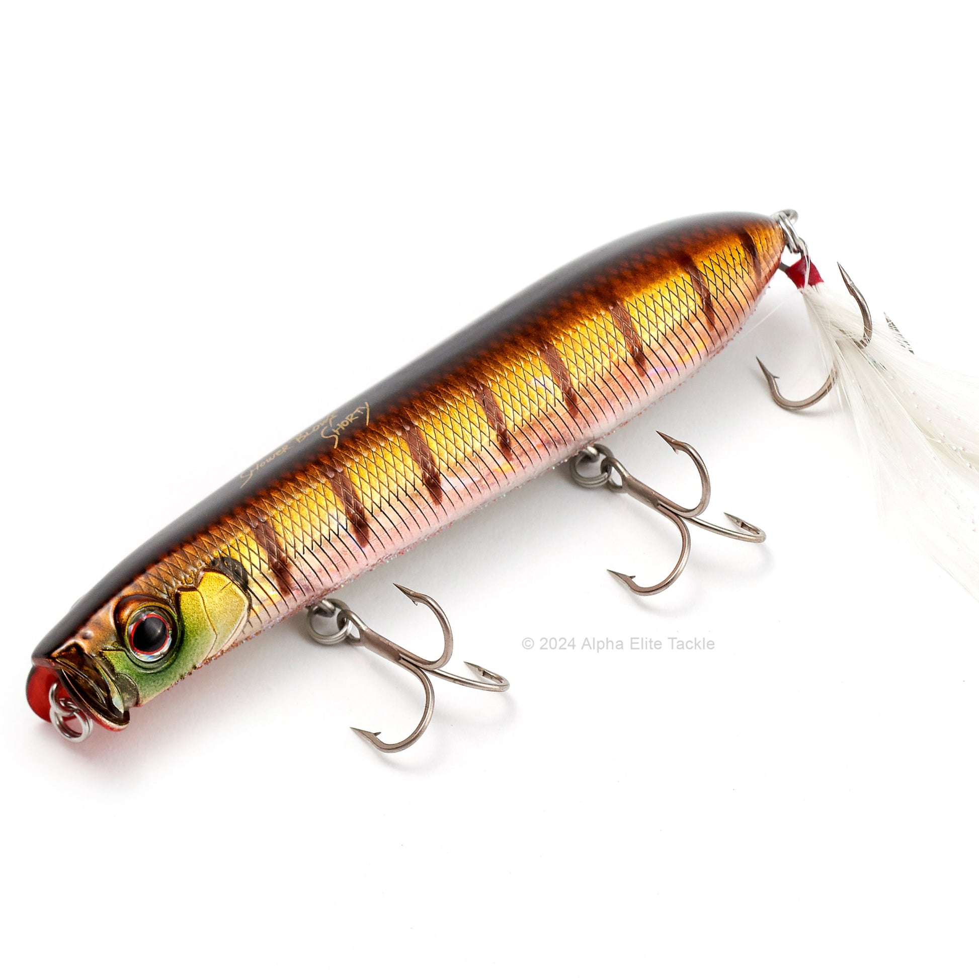 Close up of the Evergreen Showerblows Shorty SB-105 Topwater in the color Baby Gill on a white background