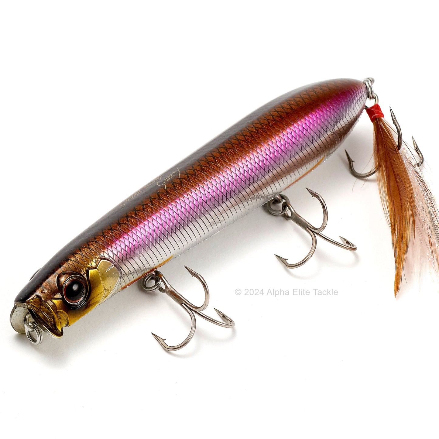 Close up of the Evergreen Showerblows Shorty SB-105 Topwater in the color Half Mirror Wakasagi on a white background