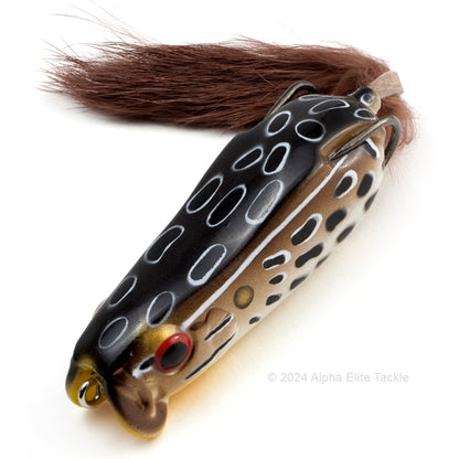 Close up of the Evergreen Showerblows Softshell SS 77 Hollow Body Frog in the color Cool Brown
