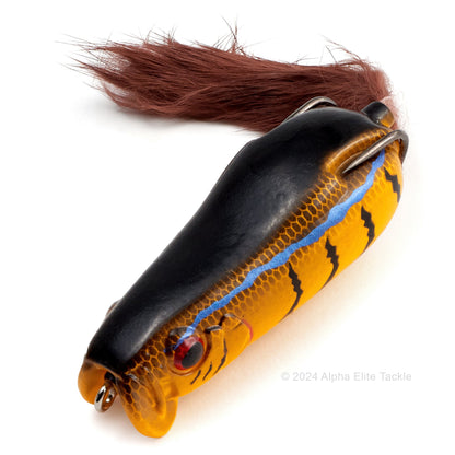 Close up of the Evergreen Showerblows Softshell SS 77 Hollow Body Frog in the color Maddy Tiger
