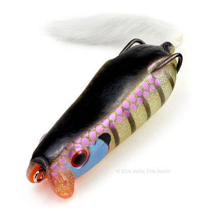 Close up of the Evergreen Showerblows Softshell SS 77 Hollow Body Frog in the color Secret Gill.