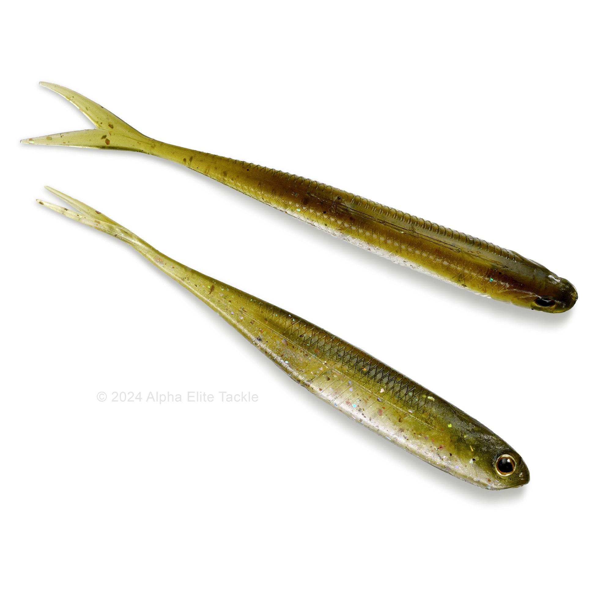 Close up of the Fish Arrow Flash J Split Abalone Strolling Minnow in the color Live Ayu on a white background.