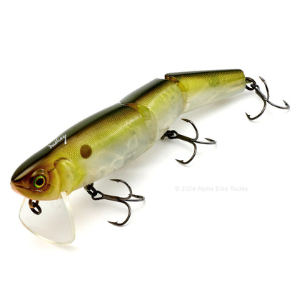 Close up of the Jackall Mikey 140 Jointed Wakebait in the color Tennessee Shad on white background