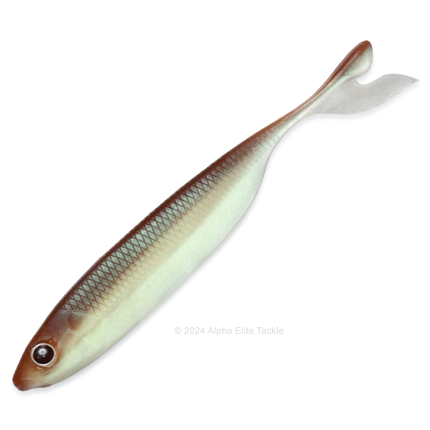 Close up of the Laysam Bariuo Strolling Minnow in the color Deadly Shad on a white background.