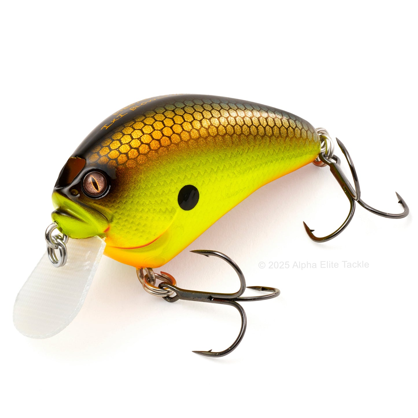Close up of the Megabass IxI Blowly Crankbait color Black Back Chart on a white background