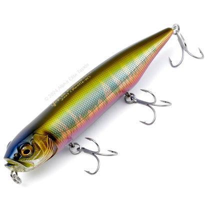 Close up of the Megabass Dog-X Diamante Topwater in the color Wagin Oikawa on a white background