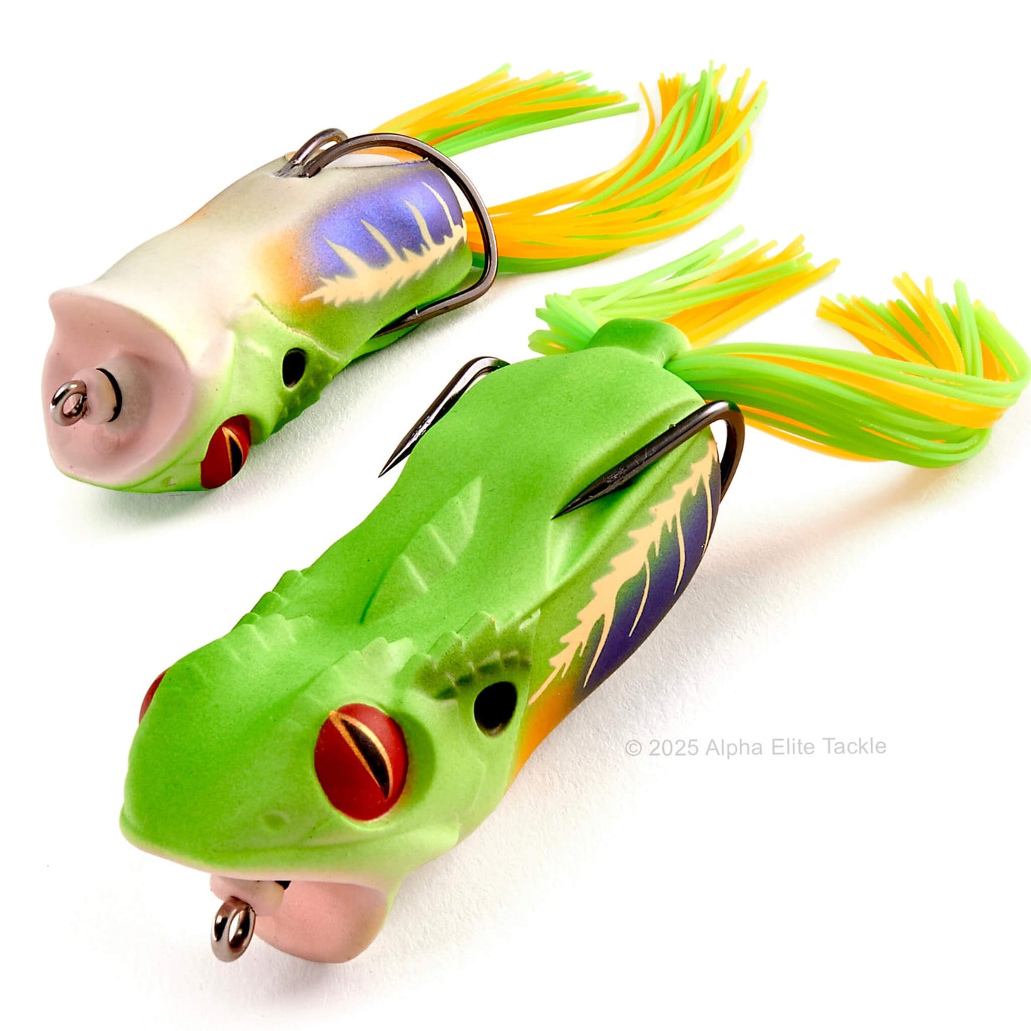 Close up of the Megabass Gabarin Hollow Body Popping Frog in the color Akame Amagaeru on a white background