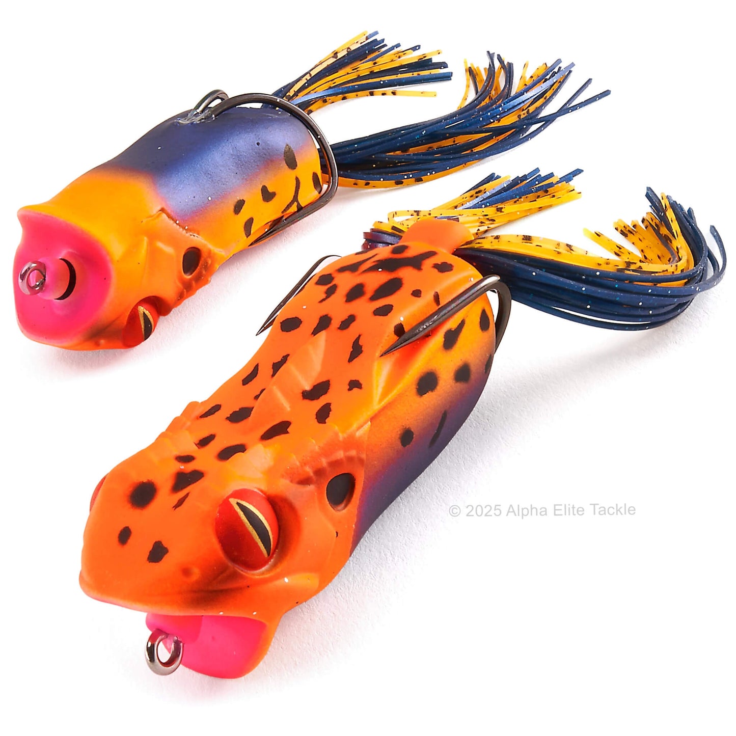 Close up of the Megabass Gabarin Hollow Body Popping Frog in the color Ichigo Yadoku on a white background