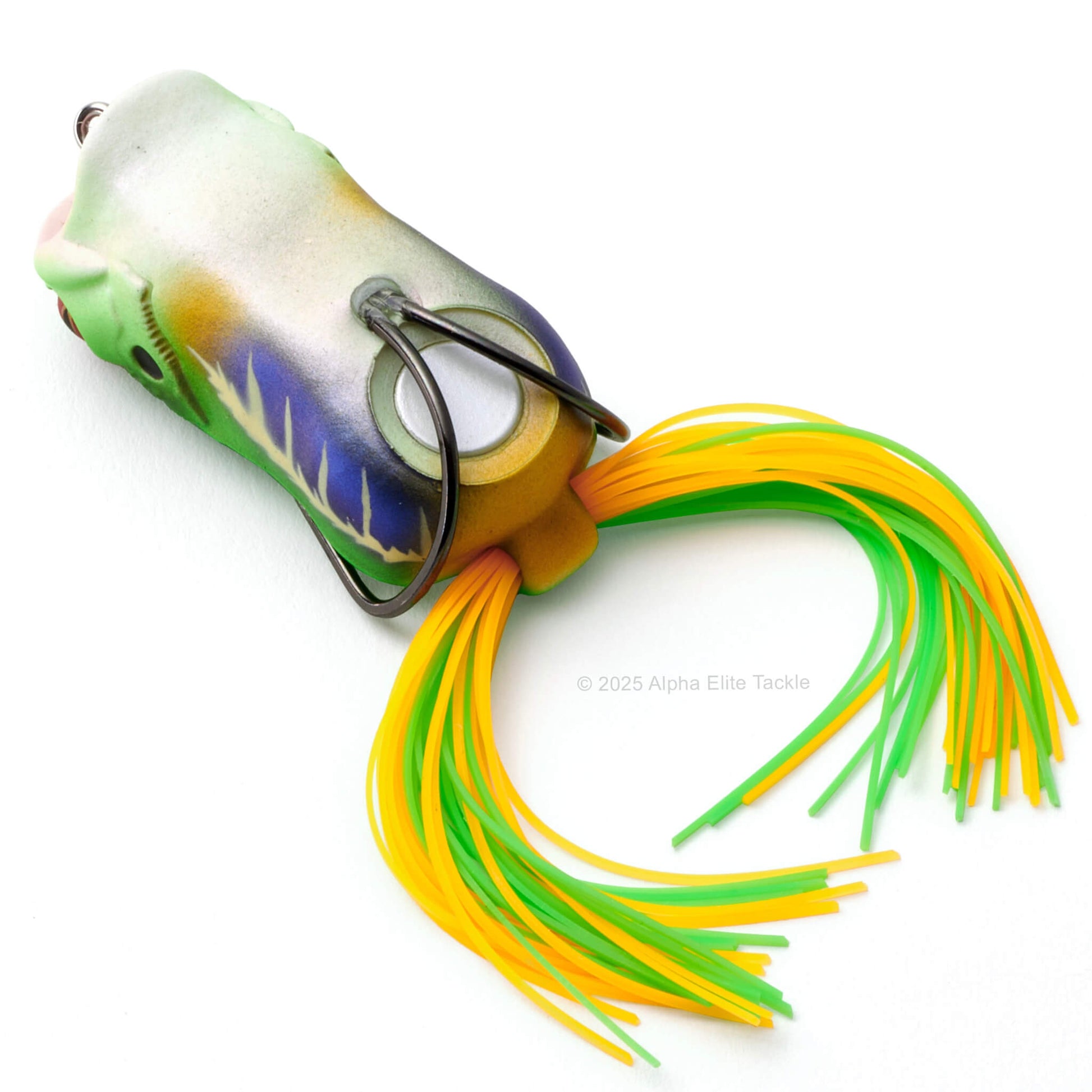 Close up of the underside of the Megabass Gabarin Hollow Body Popping Frog on a white background