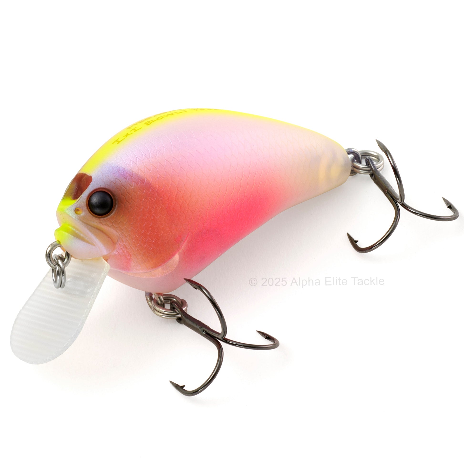 Close up of the Megabass IxI Blowly Crankbait fishing lure in the color Baby Kingyo CB on a white background