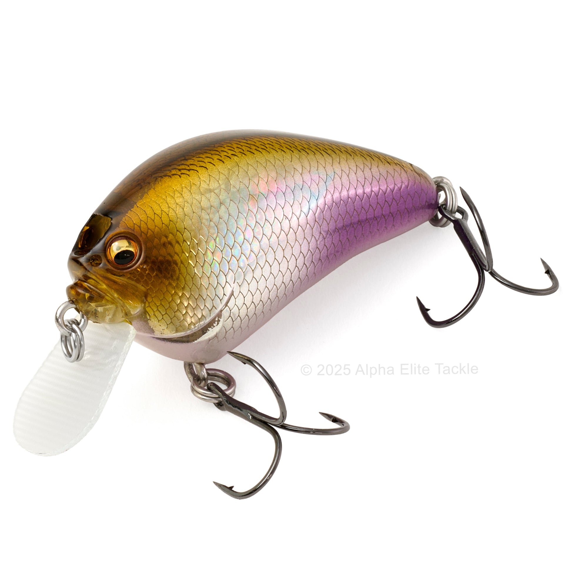 Close up of the Megabass IxI Blowly Crankbait fishing lure in the color GG Wakasagi on a white background