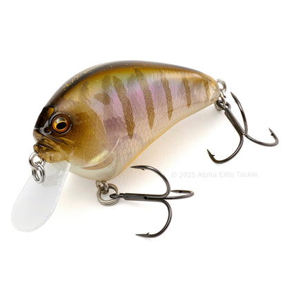 Close up of the Megabass IxI Blowly Crankbait fishing lure in the color Gillkko on a white background
