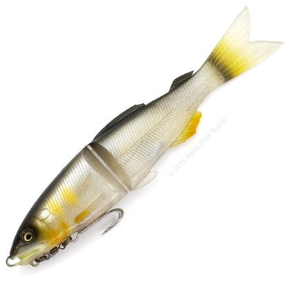 Close up of the Megabass Magdraft Ayu Twitcher in the color Brilliant Ayu on a white background