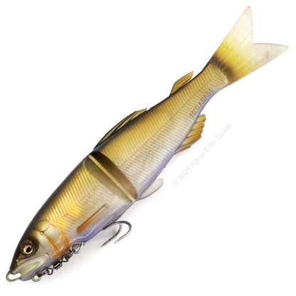 Close up of the Megabass Magdraft Ayu Twitcher in the color Tenryu Ayu on a white background