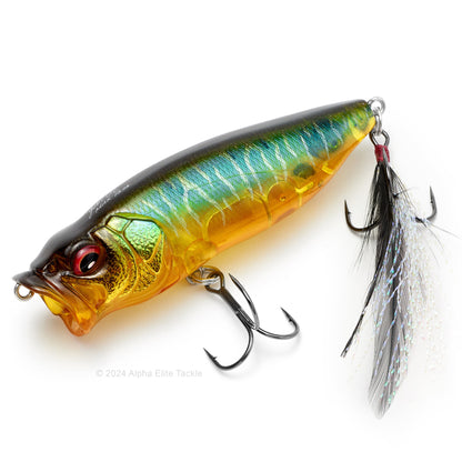 Close up of the Megabass Popmax Topwater Popper in the color Gin Tonic Tiger on a white background