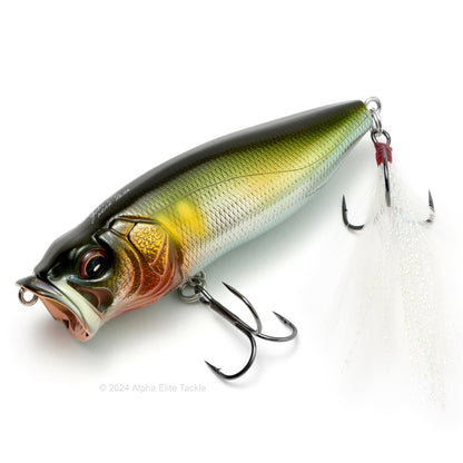 Close up of the Megabass Popmax Topwater Popper in the color Takumi Seochi Ayu on a white background