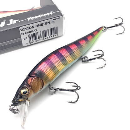 Colorful fishing lure with a box labeled 'VISION ONETEN Jr.' on a white background