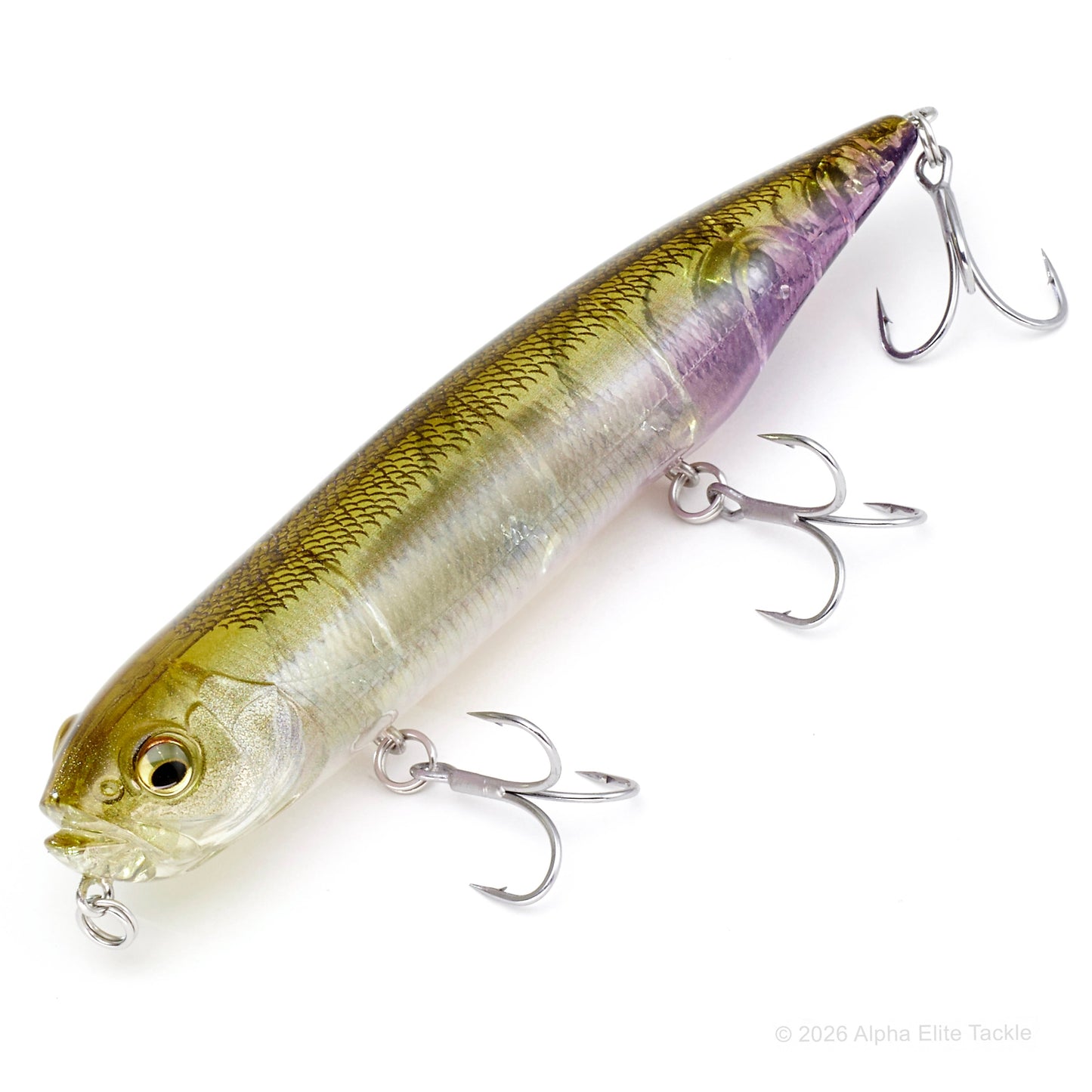 close up of the Megabass Dog-X Diamante Topwater Lure in the color FA Ghost Wakasagi on a white background