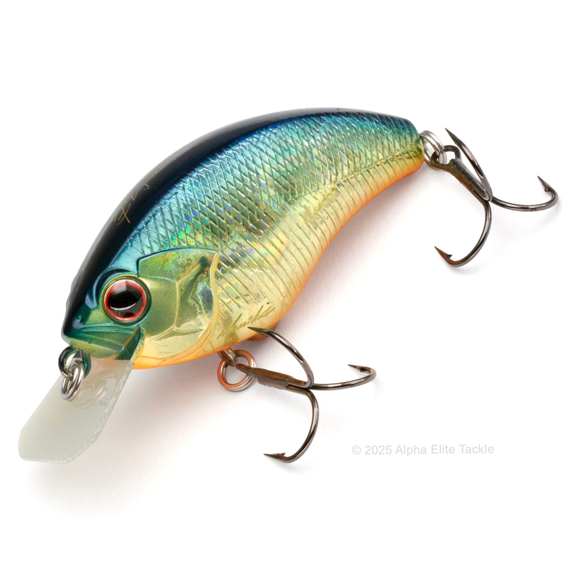 Close up of the OSP Blitz Squarebill Crankbait in the color American Sunfish #H03.