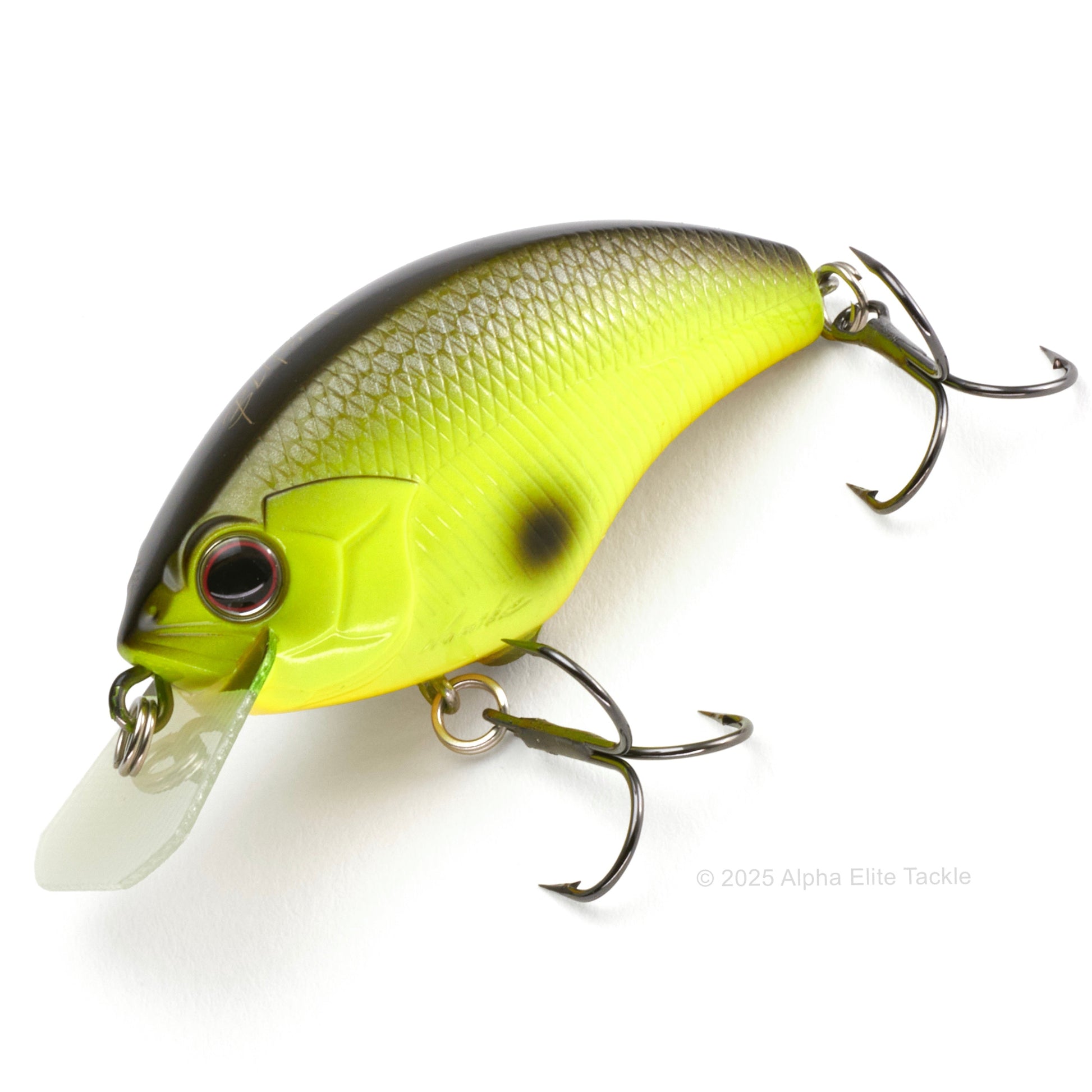 Close up of the OSP Blitz Squarebill Crankbait in the color Chart Black Back #P20.