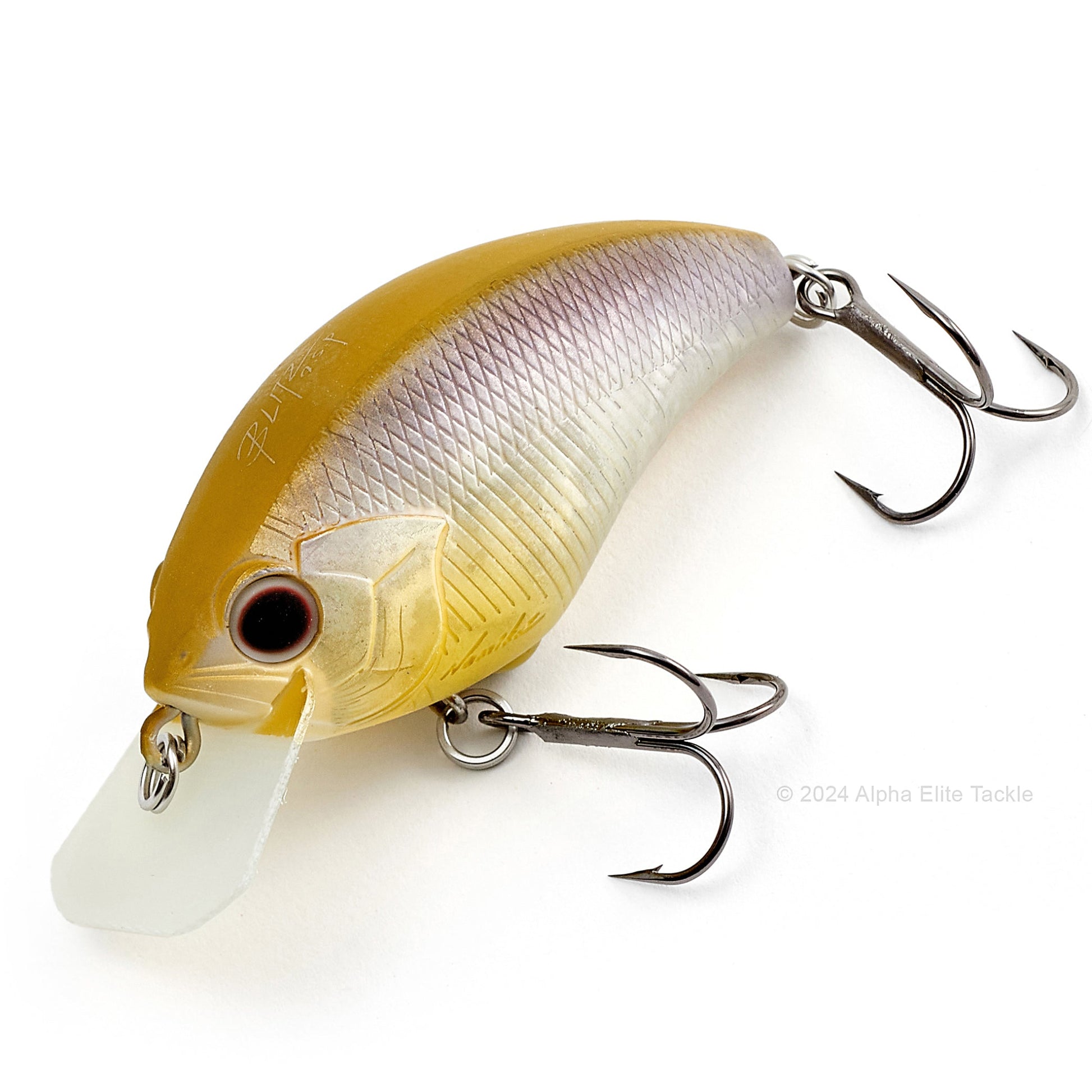 Close up of the OSP Blitz Squarebill Crankbait in the color Ginrin.