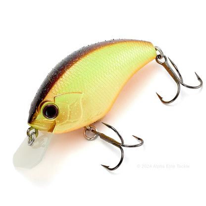 Close up of the OSP Blitz Squarebill Crankbait in the color KO Dazzler Chart #PL07.