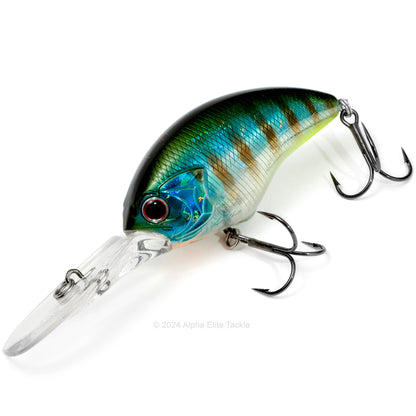 OSP Blitz Max Dr Crankbait in the color Tsuersu Gill on a white background