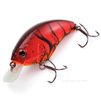 Close up of the OSP Blitz Squarebill Crankbait in the color Red Craw #Z08.