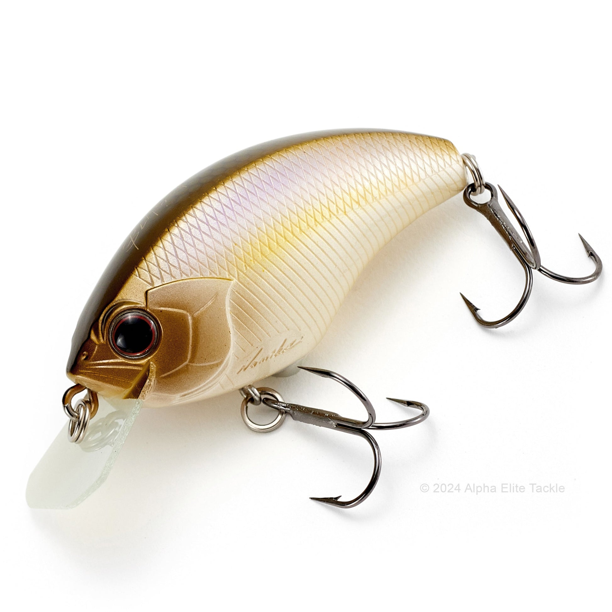 Close up of the OSP Blitz Squarebill Crankbait in the color Tasty Bone Shad #PB23.