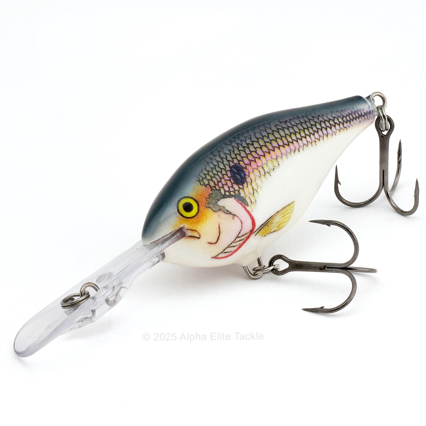 Close up of the Rapala Risto Rap RR07 crankbait in the color Shad